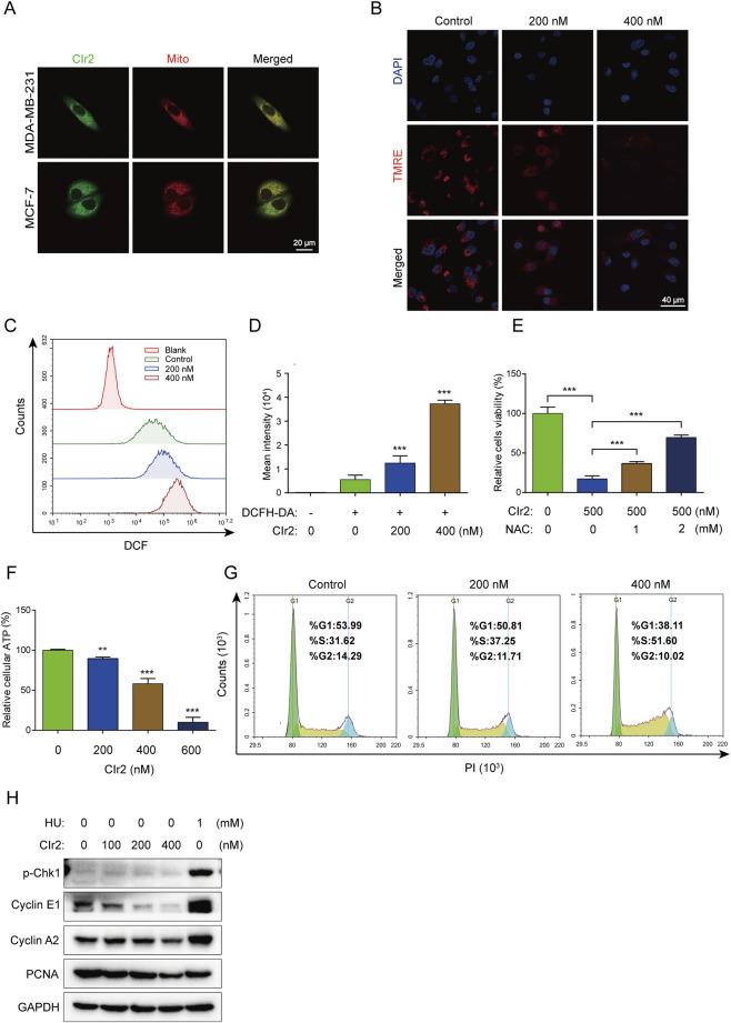 FIGURE 2
