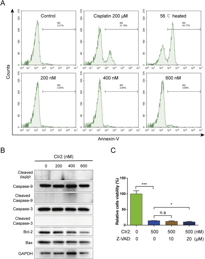 FIGURE 3