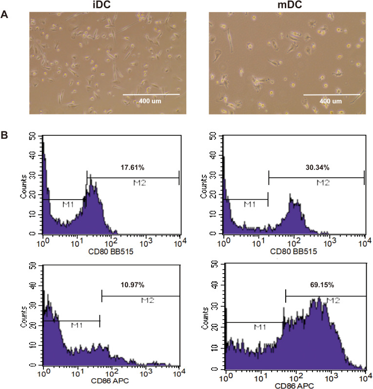 Figure 4
