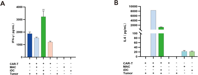 Figure 6