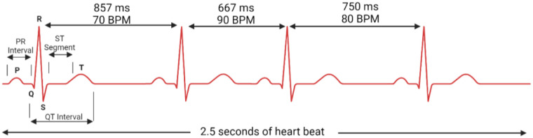 Figure 1
