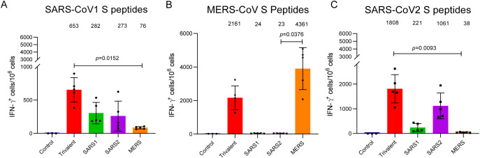 Figure 2