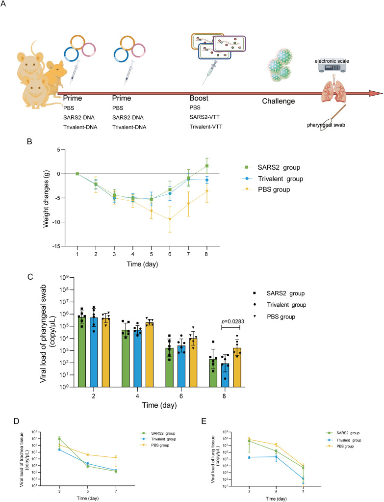 Figure 4