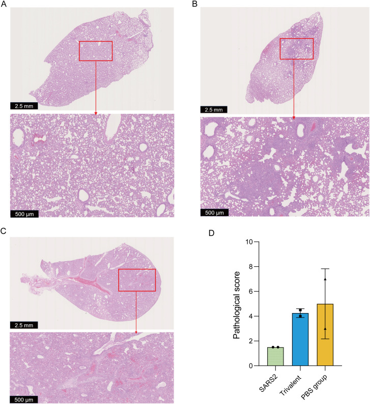 Figure 5