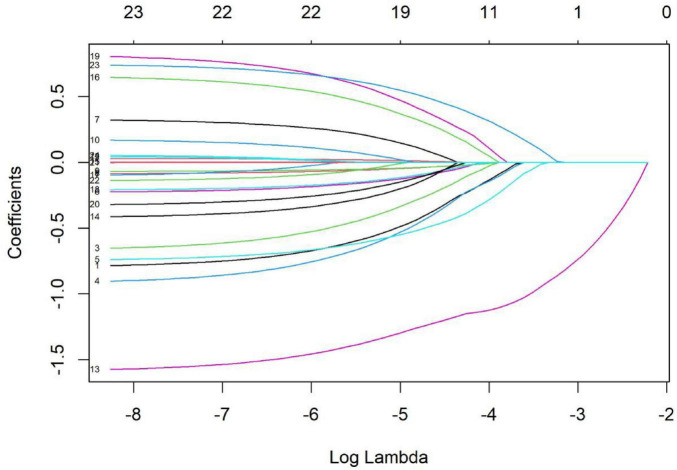 FIGURE 3