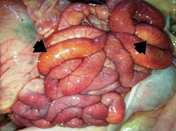 Figure 3