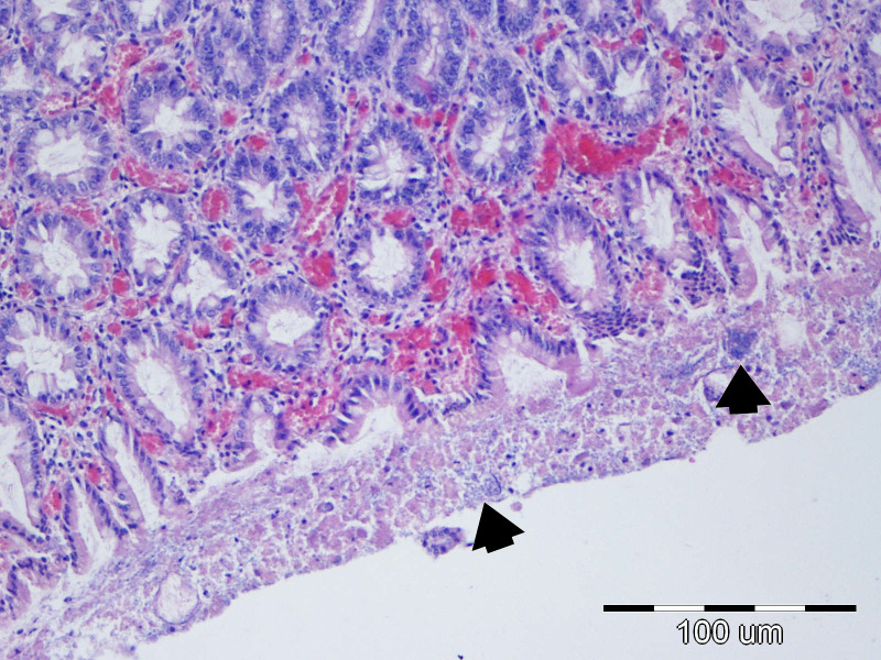 Figure 15