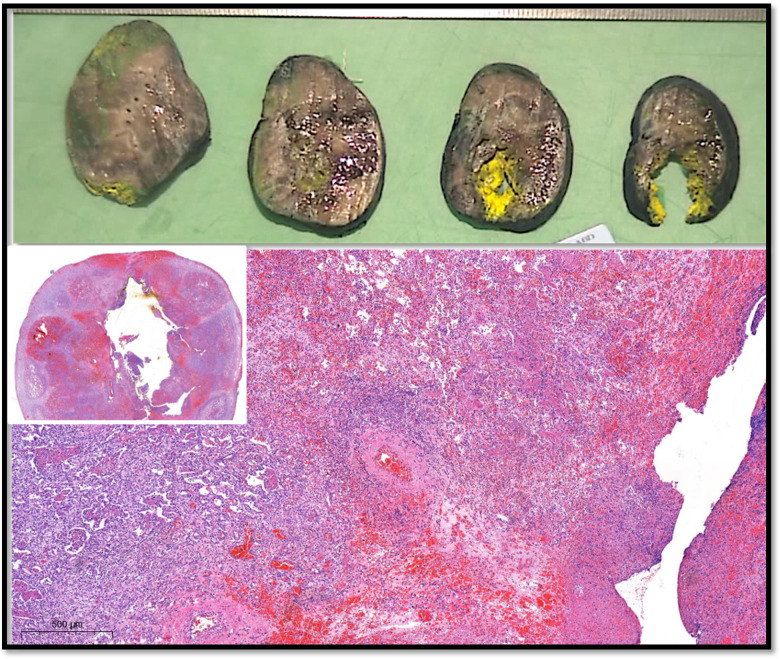 Figure 3