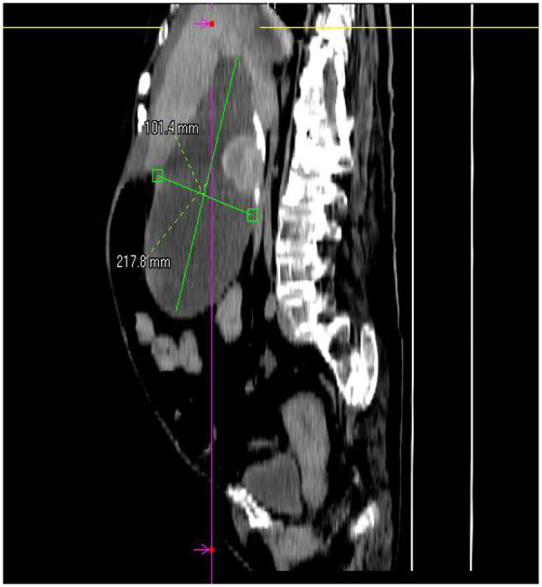 Figure 1
