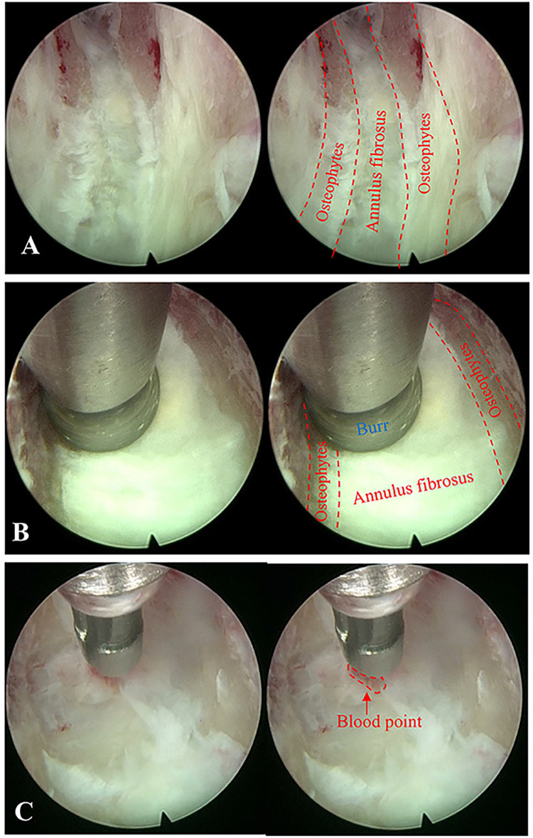 Figure 2