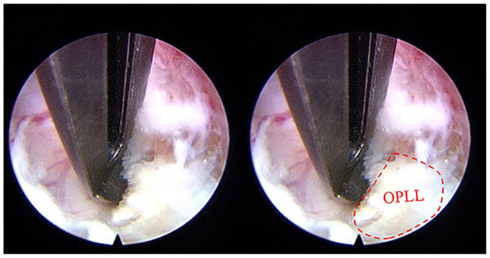 Figure 6