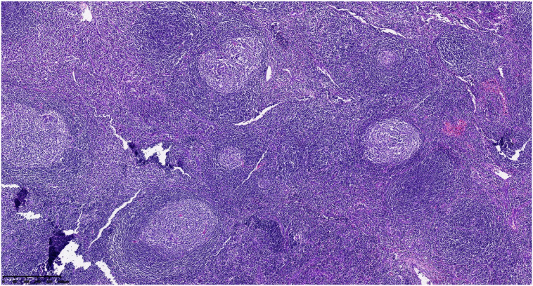 Figure 2