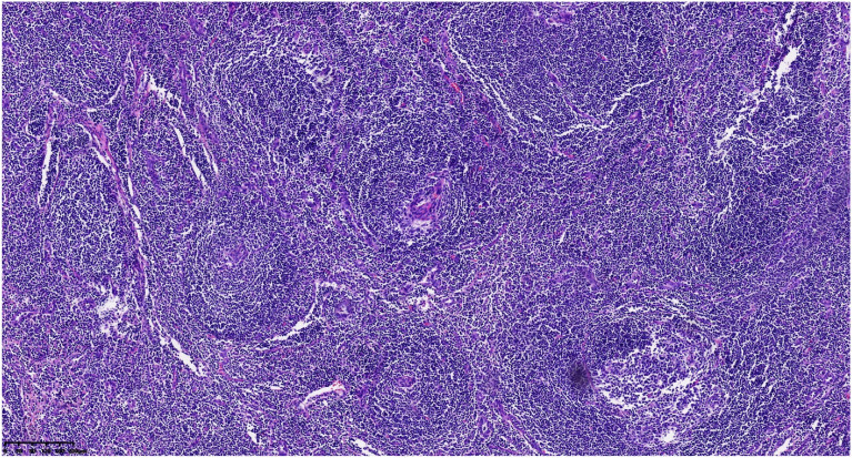 Figure 3