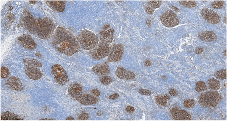 Figure 6