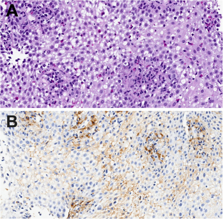 Figure 1