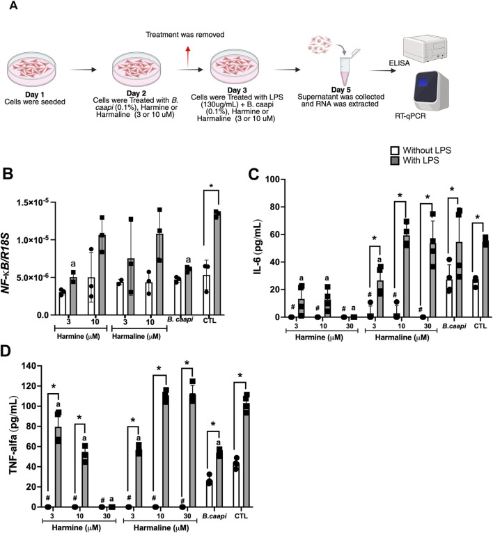 FIGURE 4