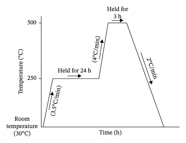 FIGURE 1