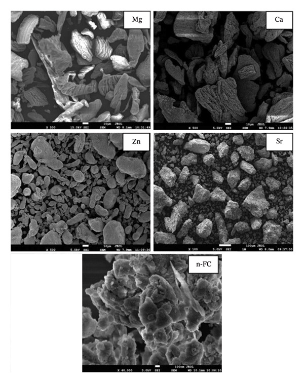 FIGURE 3