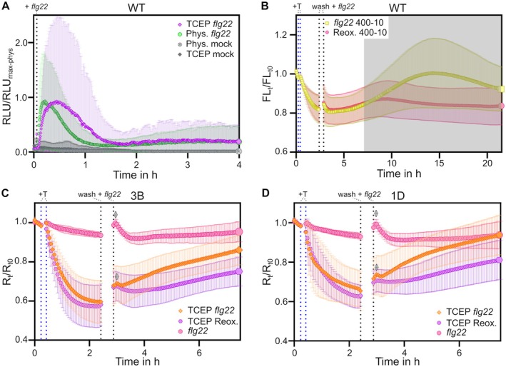 Fig. 4