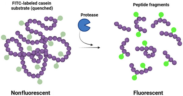 FIGURE 3
