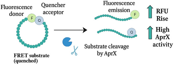 FIGURE 4