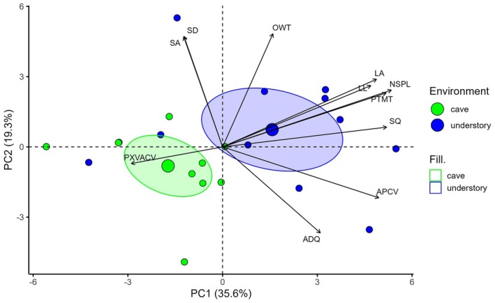 Fig. 2