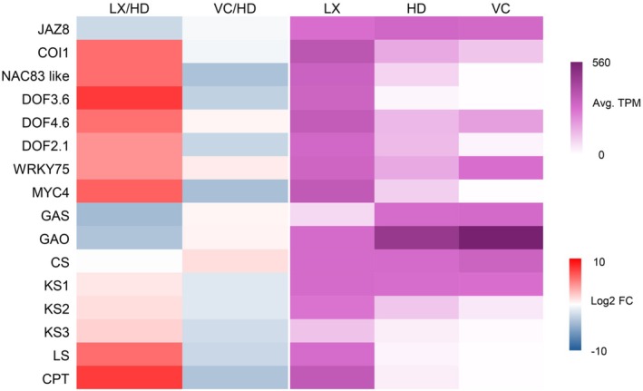 FIGURE 4