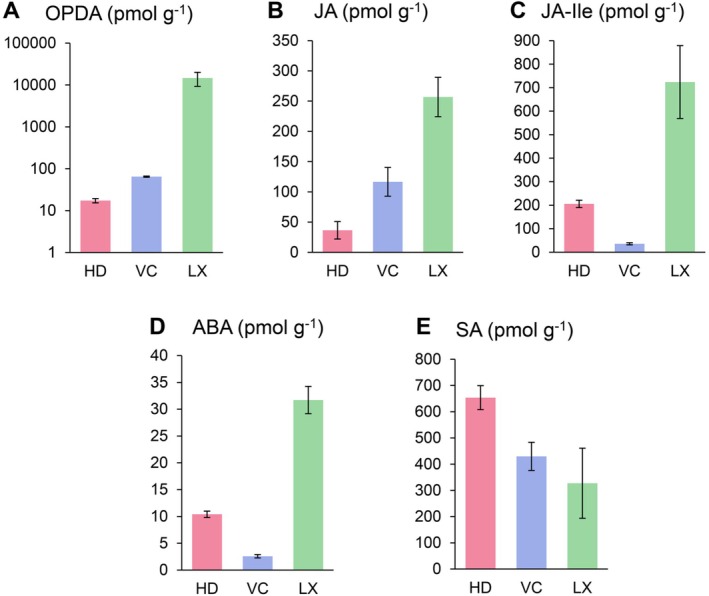 FIGURE 6