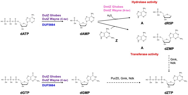 Figure 7