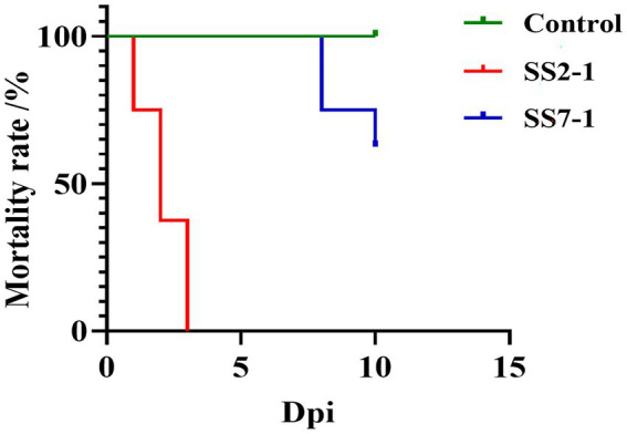 Figure 7