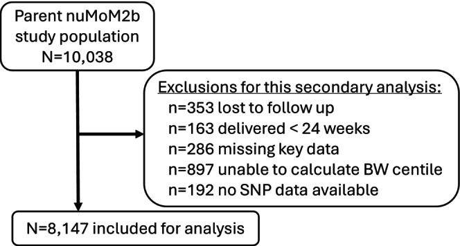 FIGURE 1