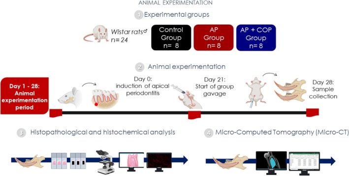 FIGURE 4