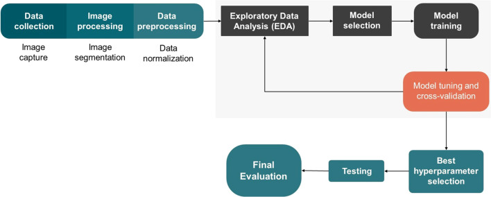 Figure 2