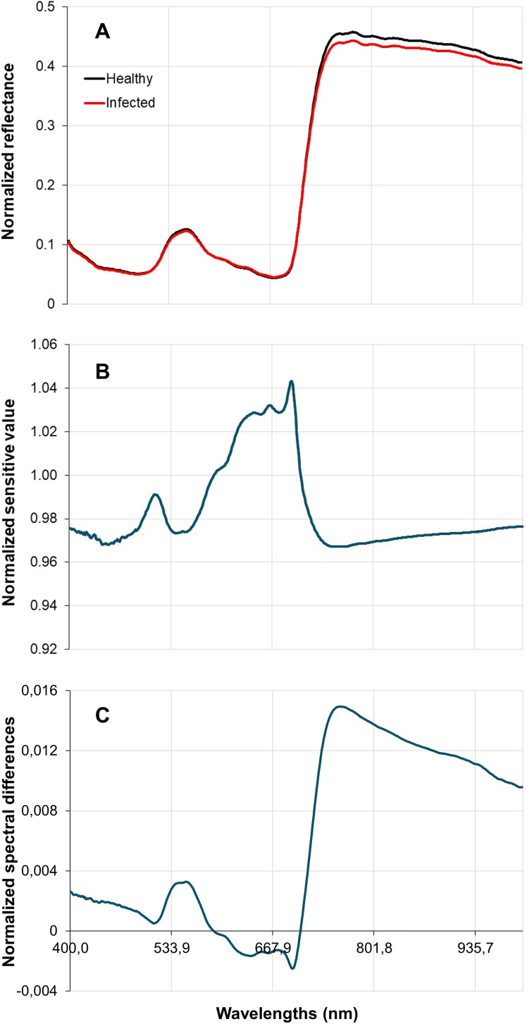 Figure 4