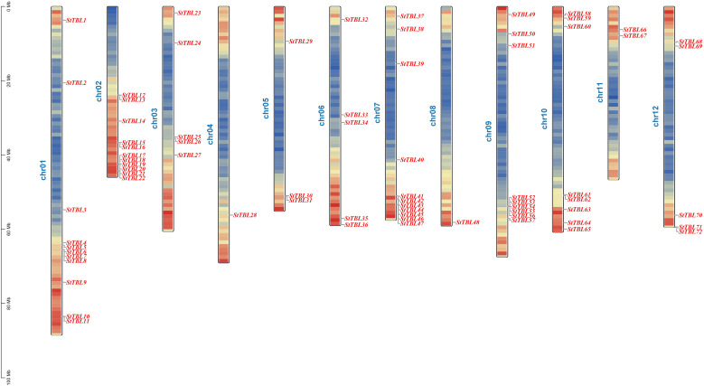 Figure 2