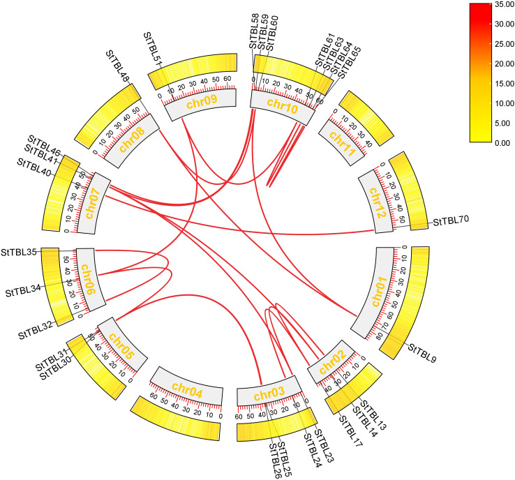 Figure 4