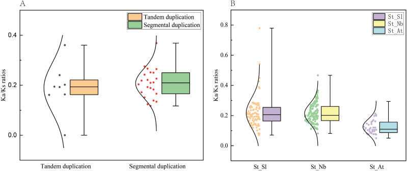 Figure 5
