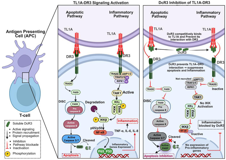 Figure 6