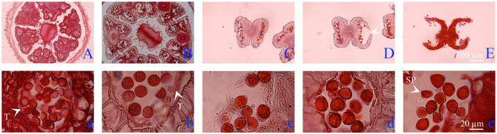 Figure 2