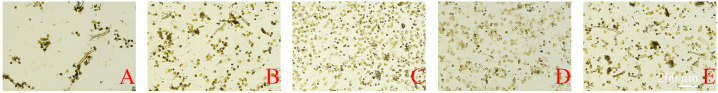 Figure 3