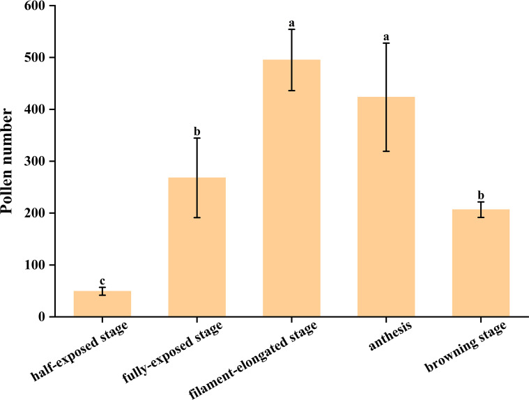Figure 4