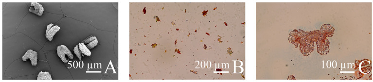 Figure 10