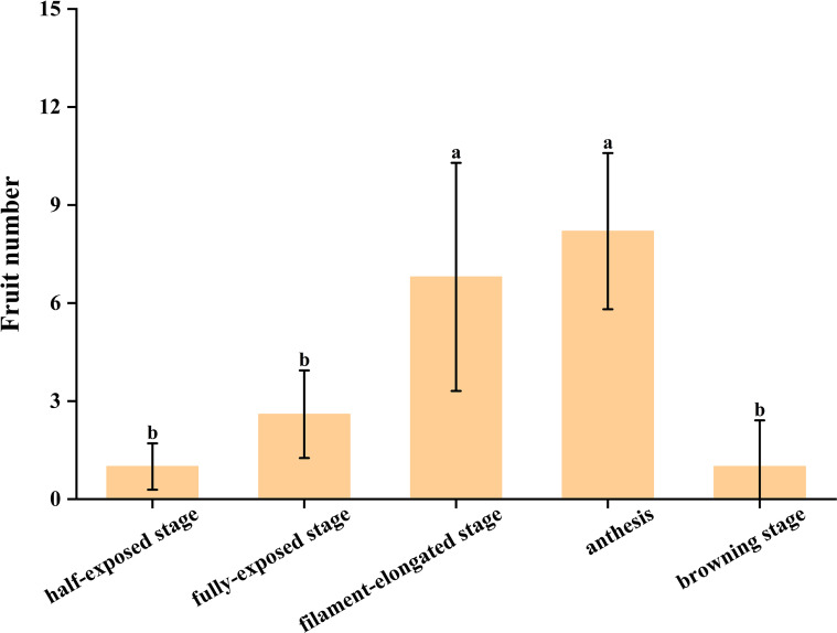 Figure 12