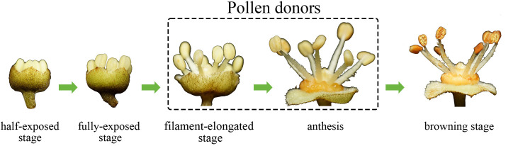 Figure 13