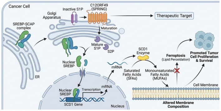 FIGURE 3