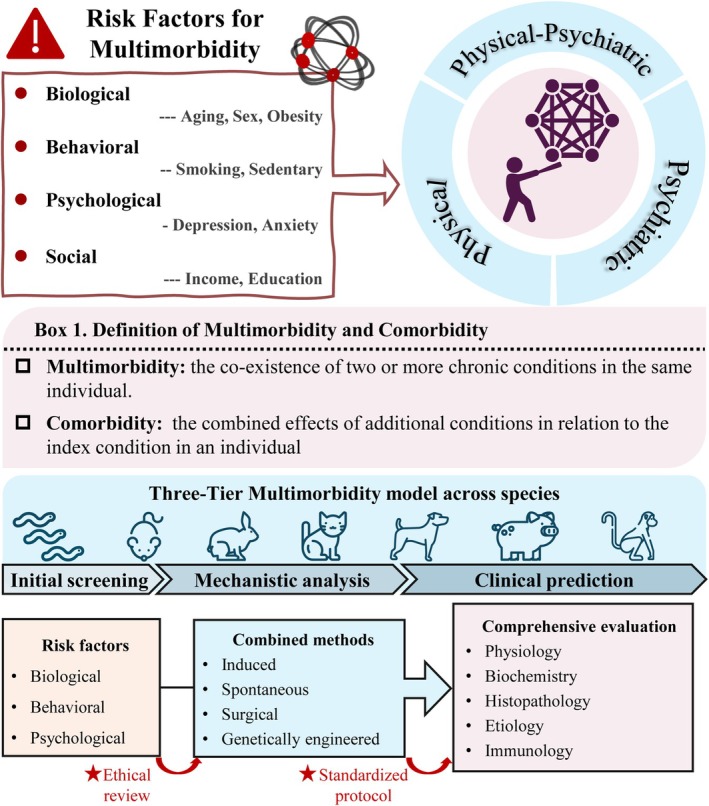 FIGURE 1