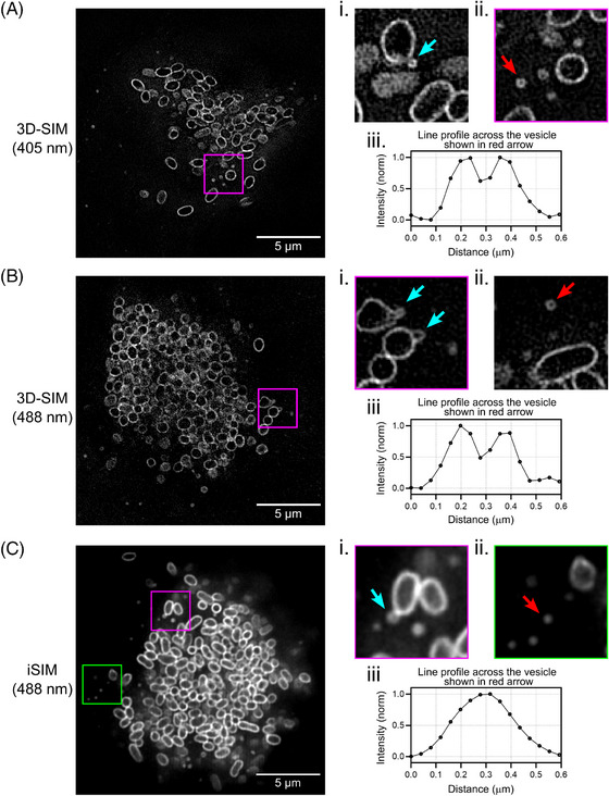 FIGURE 3