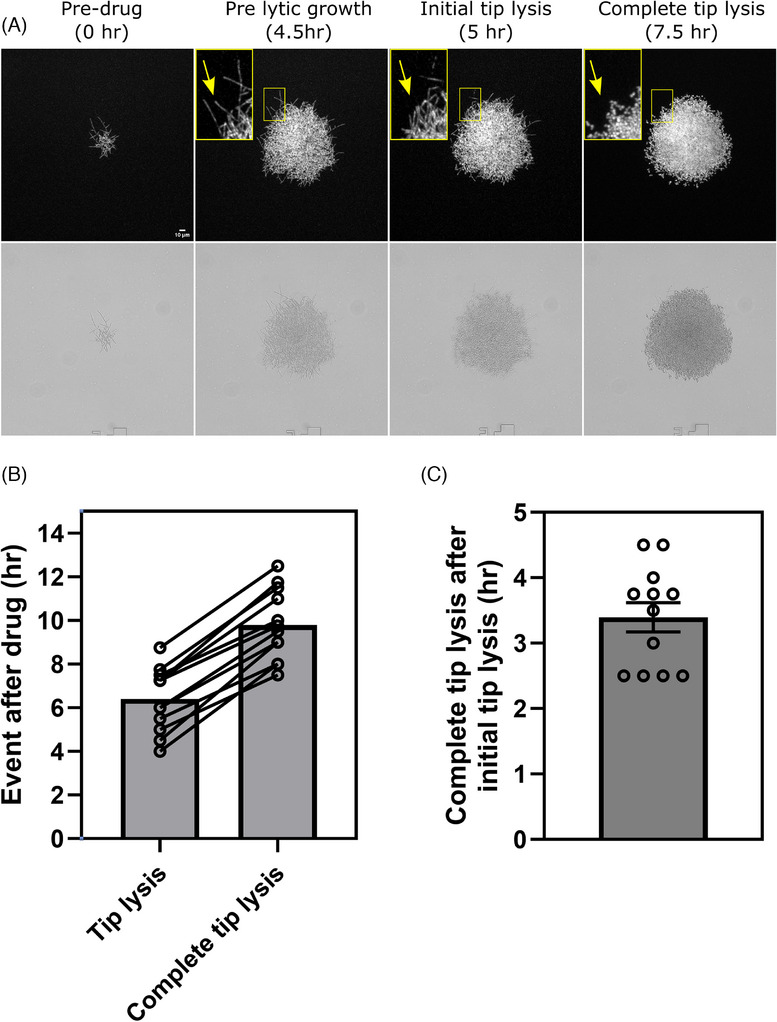 FIGURE 4
