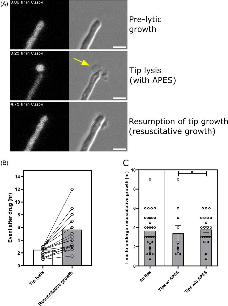 FIGURE 2