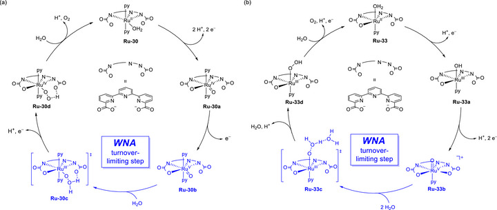 Figure 34